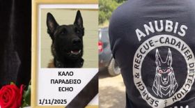 Nεκρός ξαφνικά ο ''Echo'', το σκυλί ντετέκτιβ της ''Anubis''