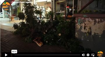 Δέντρο έπεσε στην Λ. Ειρήνης (λόγω ανέμων) και προκάλεσε φθορές σε ένα ταξί και σε καλώδια της ΔΕΗ.