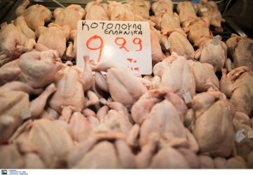 Συναγερμός στα Γιάννενα, πολλά κρούσματα στην εταιρεία «Πίνδος» - Κλείνουν εγκαταστάσεις