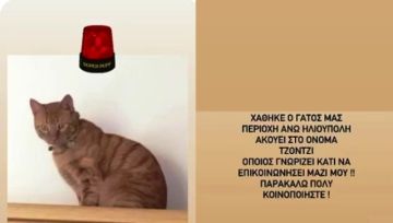 Χάθηκε ο Τζόντζι.