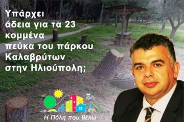 Η Πόλη που Θέλω: ''Υπάρχει άδεια κοπής για τα 23 πεύκα του πάρκου Καλαβρύτων στην Ηλιούπολη;'' 