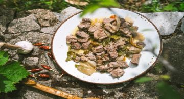 Η συνταγή της ημέρας, Παρασκευή 6 Φεβρουαρίου 2026: ''Κρασοτηγανιά απεραθίτικη με τουρκάκια''