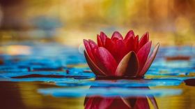 Ο καιρός την Τρίτη 30 Δεκεμβρίου 2025