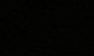 Νάουσα - Ανείπωτη κτηνωδία: Δηλητηρίασαν την τυφλή σκυλίτσα - Μηνύσεις από δήμαρχο