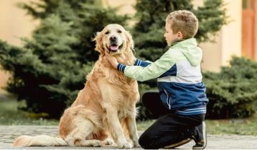 Οι οκτώ ψηφιακές υπηρεσίες στο pet.gov.gr για τα ζώα συντροφιάς