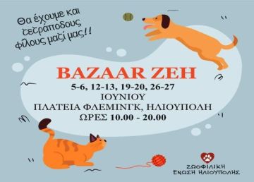 Τα Bazaar της Ζωοφιλικής Ένωσης Ηλιούπολης.