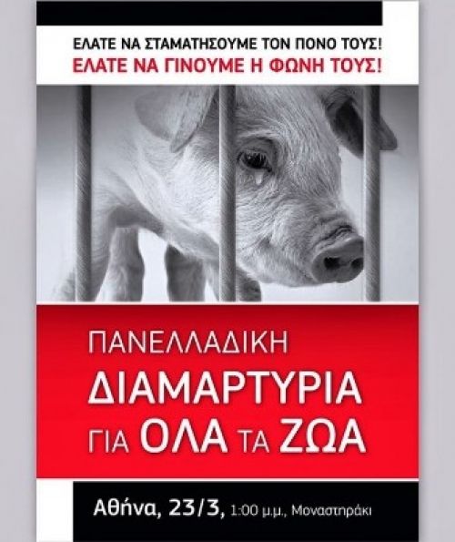 Διαμαρτυρία κατά της κακοποίησης των ζώων στο Μοναστηράκι
