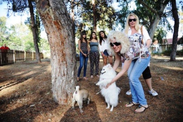 Αυτό είναι το ολοκαίνουριο πάρκο για σκύλους στην Αργυρούπολη 