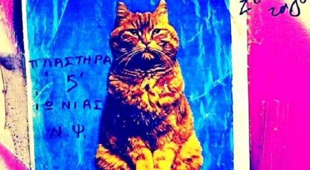 Συγκλονίζει το διαδίκτυο η αφίσα με το κτήνος που πυροβόλησε τη γάτα στο κεφάλι