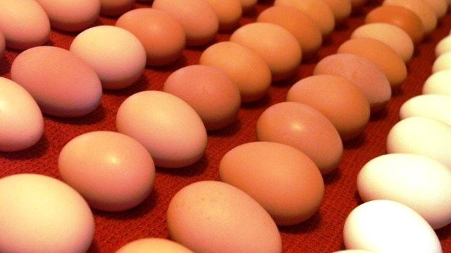 Ο αντιπρόεδρος του ΕΦΕΤ στον Realfm 97,8 για το σκάνδαλο με τα αυγά