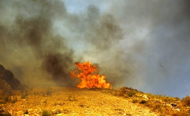 Γιάννα Τσούπρα Σύμβουλος περιφέρειας Αττικής: Οι φωτιές είναι φυσικό φαινόμενο!