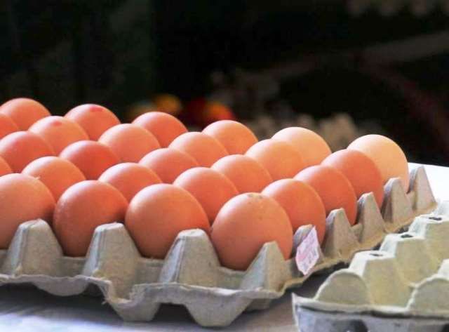 Τι λέει ο ΕΦΕΤ για την παρουσία fipronil σε αυγά στην Ελλάδα 