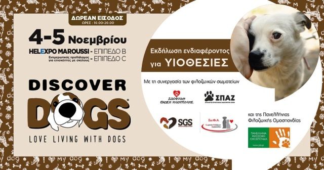 Οι ζωοφιλικές οργανώσεις πρωταγωνίστριες στο φεστιβάλ «Discover Dogs 2017»