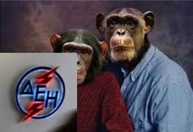 Αυτοί είναι οι μαϊμού υπάλληλοι ΔΕΗ που έκλεβαν ηλικιωμένους.