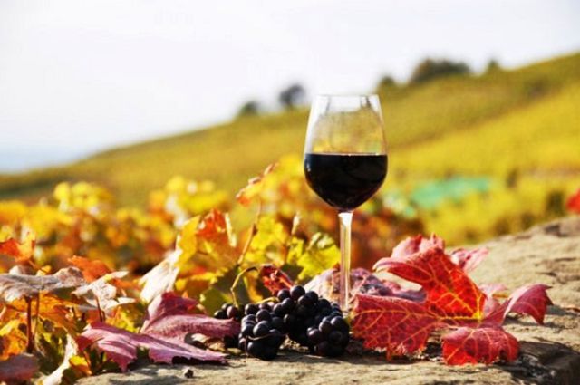 Τον Σεπτέμβριο έρχεται μία μεγάλη γιορτή κρασιού στα Πολυκλαδικά Ηλιούπολης
