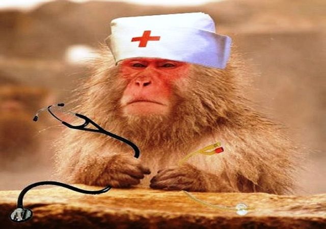 Συνελήφθησαν έξι νοσοκόμες-«μαϊμού» σε νοσοκομείο της Αθήνας