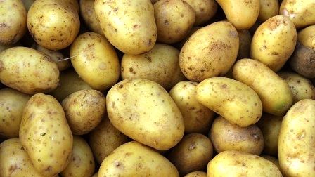 Κατασχέθηκαν 7,2 τόνοι μολυσμένης πατάτας Γαλλίας