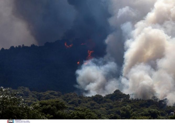 Φωτιά στα Βίλια: Καίει ανεξέλεγκτη η πύρινη λαίλαπα, τεράστιο το μέτωπο - Νέες εντολές εκκένωσης