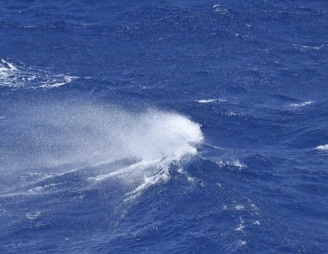 Λαγονήσι: Νεκρός 48χρονος στην θάλασσα - Πνίγηκε ενώ προσπαθούσε να σώσει το παιδί του