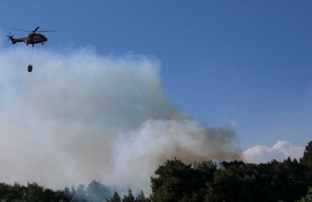 Φωτιά στην Κερατέα - Ισχυρές δυνάμεις της πυροσβεστικής