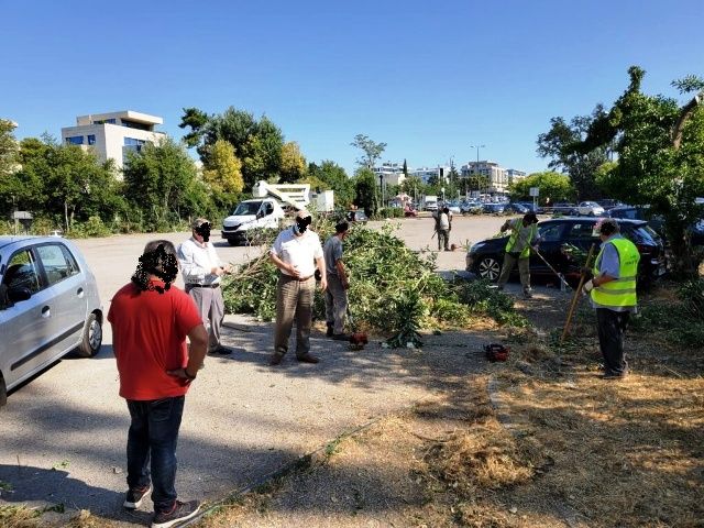 Δήμος Βύρωνα: Νέο εργατικό ατύχημα - υπάλληλος έπεσε από δένδρο