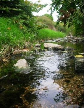 Aντιστεκόμαστε στην καταστροφή του ρέματος της Πικροδάφνης