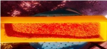 Γύρη ένα ακόμα θαύμα τής φύσης που μας το προφέρει απλόχερα η μέλισσα!