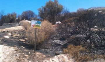 ΜΗΝΥΤΗΡΙΑ ΕΓΚΛΗΣΗ ΤΗΣ ΔΗΜΟΤΙΚΗΣ ΣΥΝΕΡΓΑΣΙΑΣ ΓΙΑ ΤΟ ΣΥΣΤΗΜΑ ΠΥΡΑΣΦΑΛΕΙΑΣ