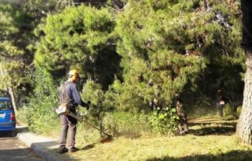 Με γοργό ρυθμό φροντίζεται το πράσινο στην Ηλιούπολη