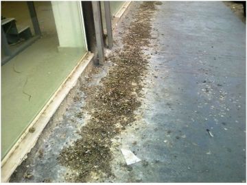 Καθαριότητας συνέχεια στην Ηλιούπολη!