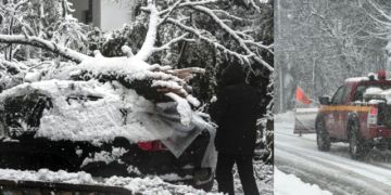 ΔΕΔΔΗΕ: Ανακοίνωση σχετικά με προβλήματα ηλεκτροδότησης λόγω της σφοδρής κακοκαιρίας ''ΜΗΔΕΙΑ''